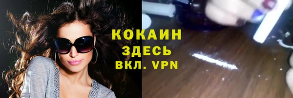 винт Новозыбков