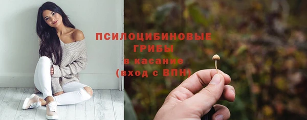 бошки Новодвинск