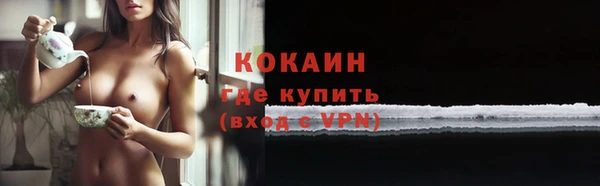 винт Новозыбков