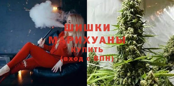 мяу мяу кристалл Ельня