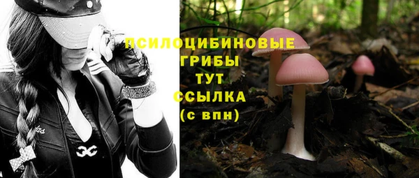 бошки Новодвинск