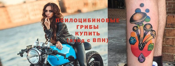 бошки Новодвинск