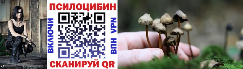 купить наркотики сайты  Козловка  Псилоцибиновые грибы мицелий 